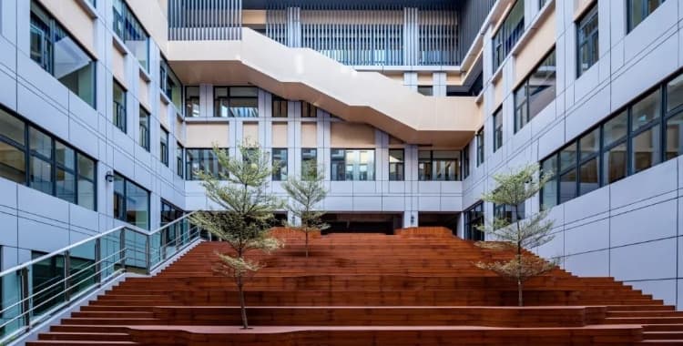 深圳哈罗2026—2027学年招生指南:申请条件、入学评估与学费